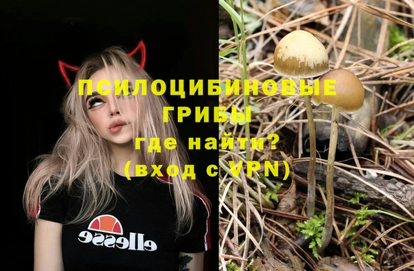 экстази Белокуриха
